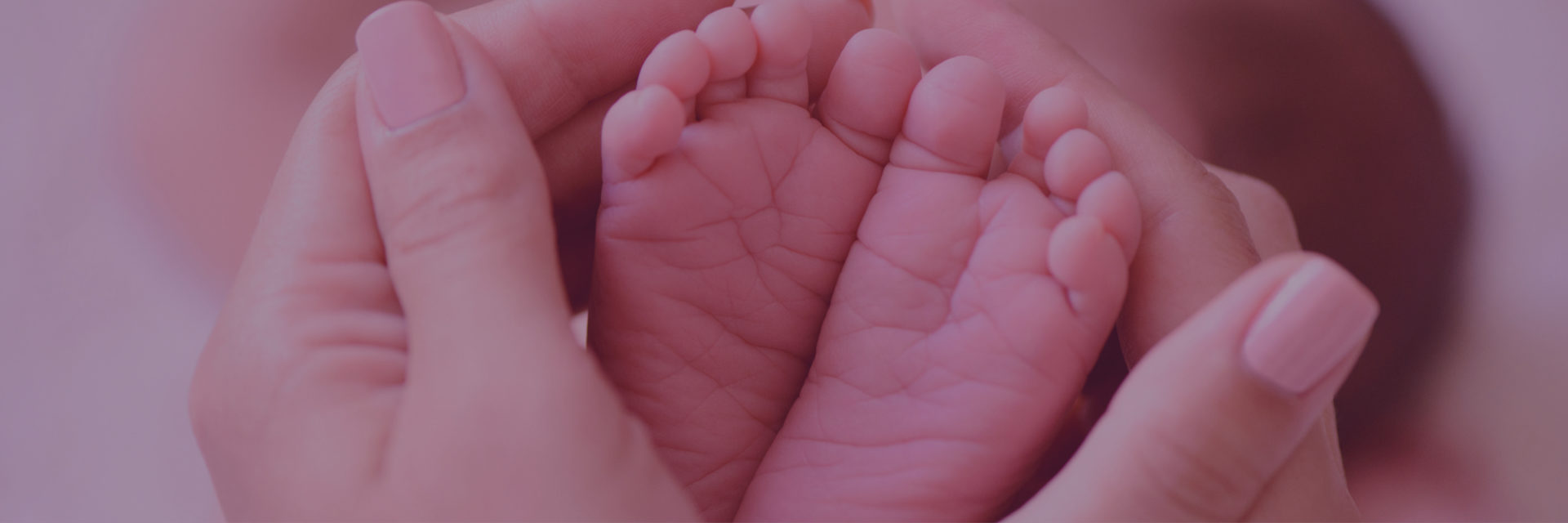 Photo of a newborn baby's feet cradled in a mothers hands.